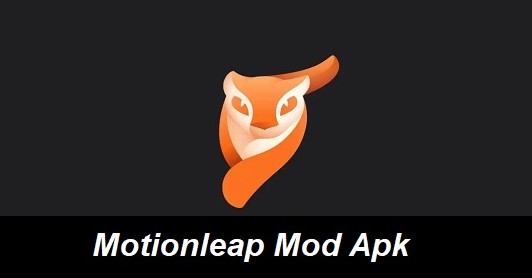 Motionleap Mod Pro